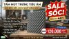 Mút Trứng Tiêu Âm 1m6 x 2m Dày 2.5cm