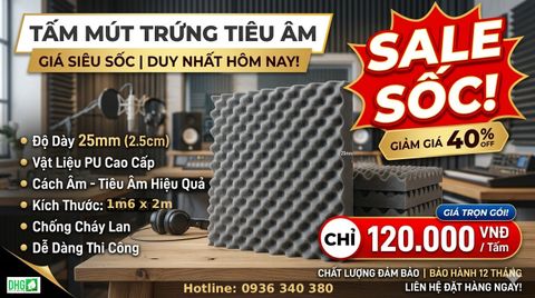 Mút Trứng Tiêu Âm 1m6 x 2m Dày 2.5cm | Giá Sỉ Tại Kho DHG