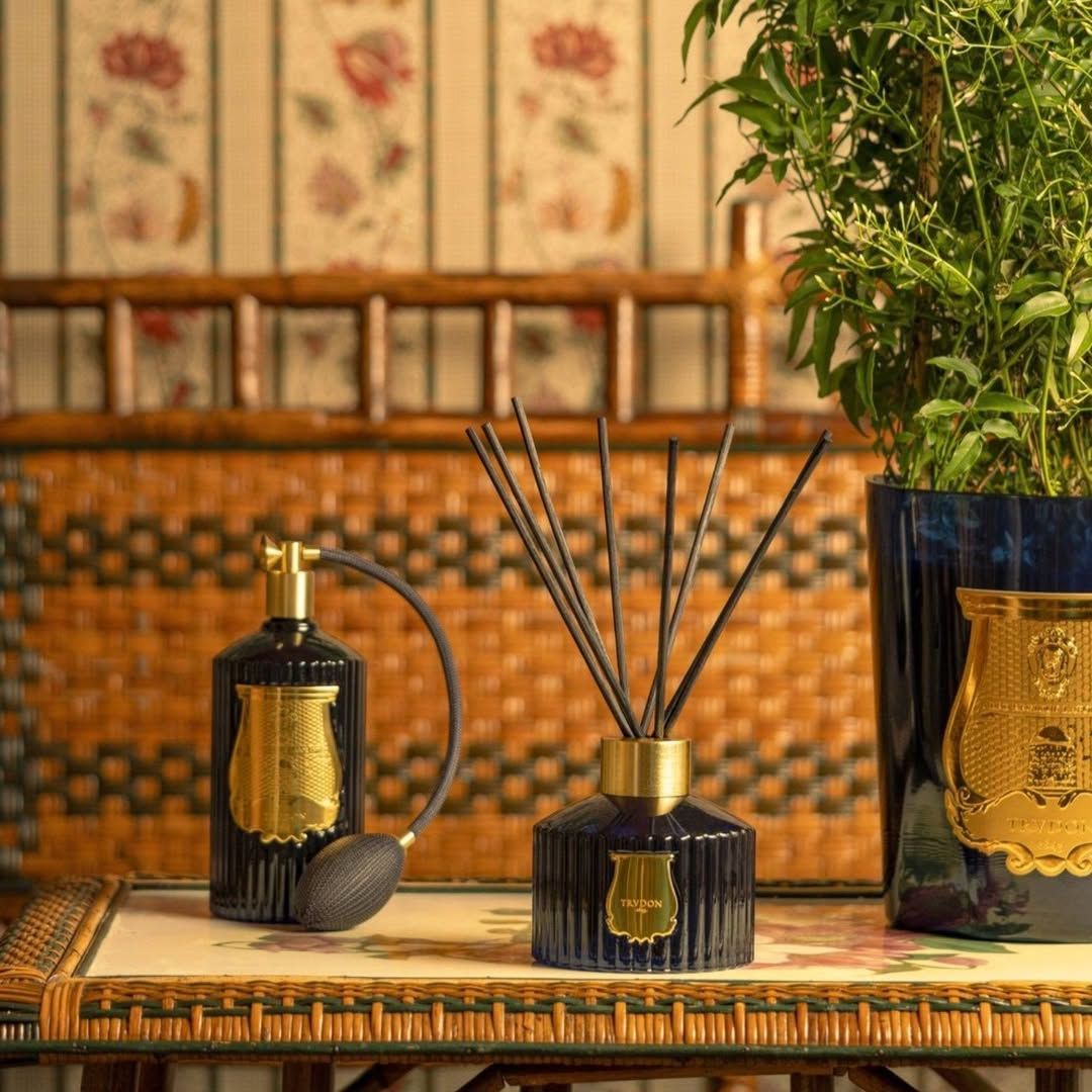  Tinh dầu Trudon Le Diffuser Reggio 