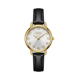 ĐỒNG HỒ CESHDUN 9724B-SVT
