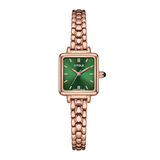 ĐỒNG HỒ CITOLE CT5258LRLR