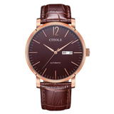 ĐỒNG HỒ CITOLE CT9093GNCR