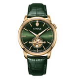 ĐỒNG HỒ CITOLE CT9138GLLG