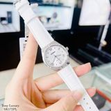 ĐỒNG HỒ STARKE SK172PL