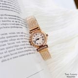 ĐỒNG HỒ CESHDUN 9666HH