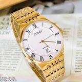 ĐỒNG HỒ CITOLE CT5261GGWB