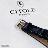 ĐỒNG HỒ CITOLE CT9089GBWS