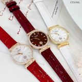 ĐỒNG HỒ CITOLE CT5195LWSG