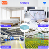 Thiết Bị Kiểm Soát Chất Lượng Không Khí Wifi Tuya Airbox2.5