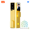 Khóa Cửa Gỗ Thông Minh WiFi Nhận Diện Gương Mặt FaceID Tuya DL26v2
