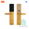 Khóa Cửa Gỗ WiFi Nhận Diện Khuôn Mặt FaceID Tuya DL7DFv6