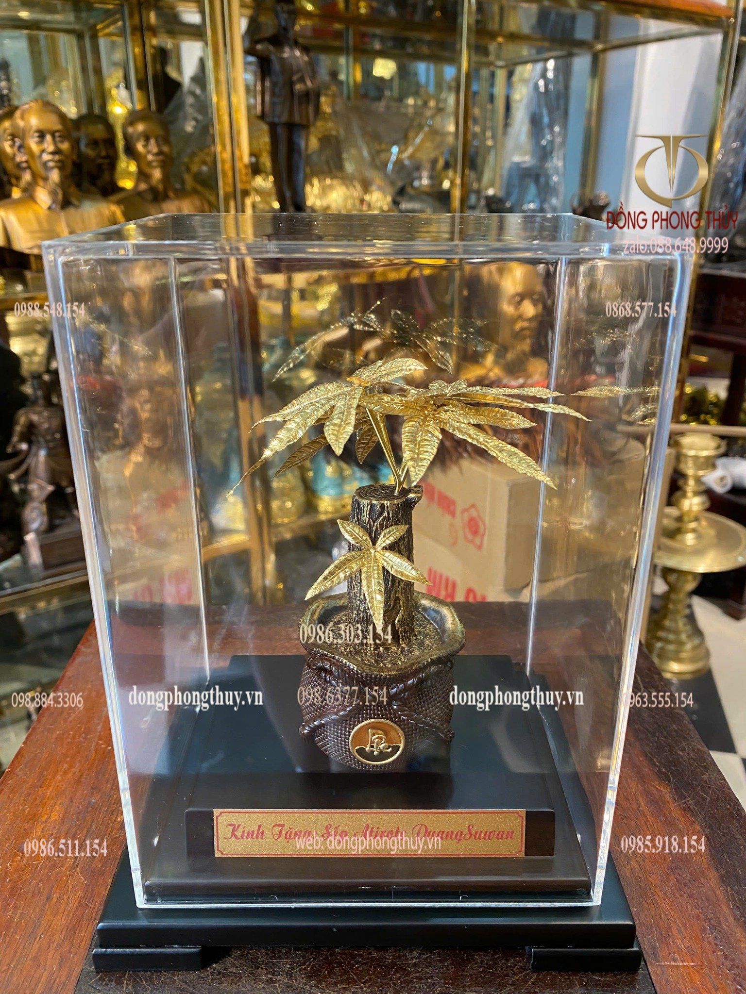 Quà tặng mạ vàng : cây kim ngân mạ vàng 24k