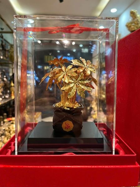 Cây kim tiền mạ vàng 24k
