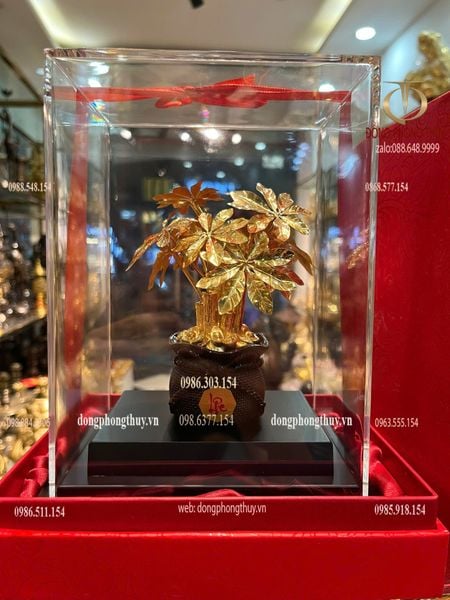Cây kim tiền mạ vàng 24k