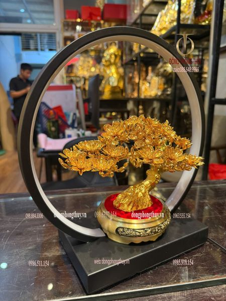 Cây mai vàng 24k