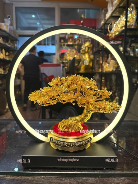 Cây mai vàng 24k