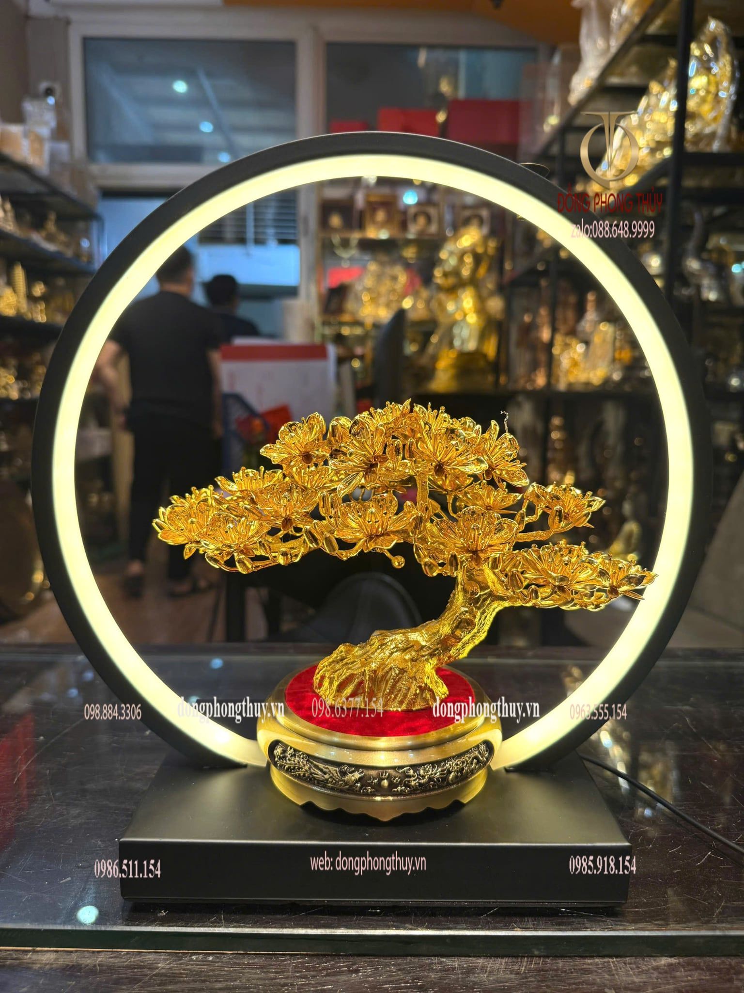 Cây mai vàng 24k