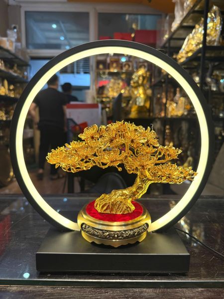Cây mai vàng 24k