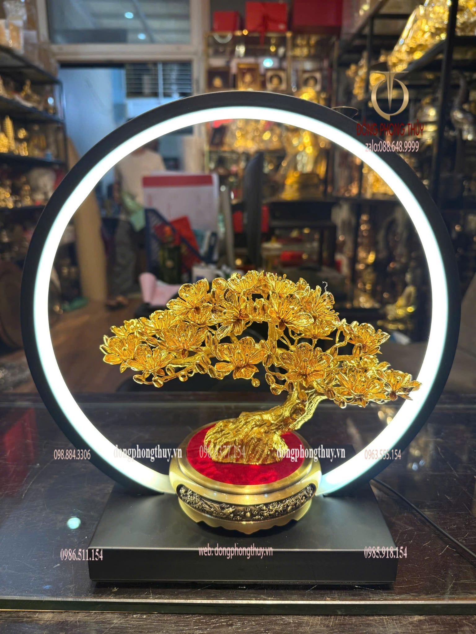 Cây mai vàng 24k