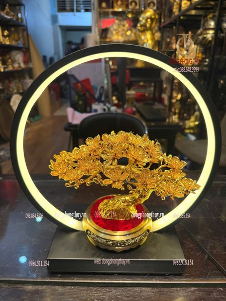 Cây mai vàng 24k