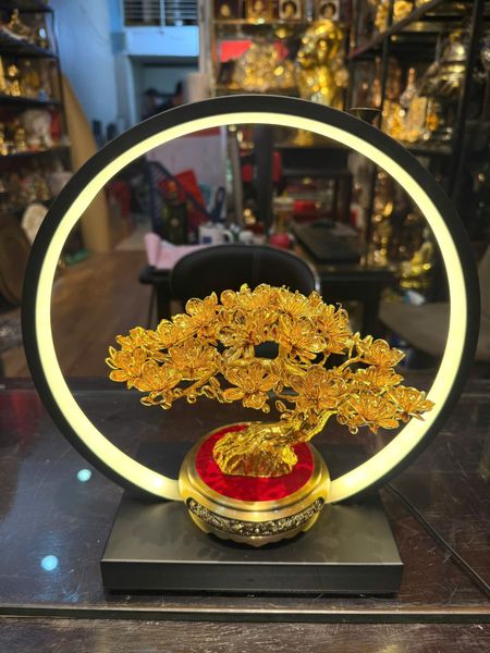 Cây mai vàng 24k