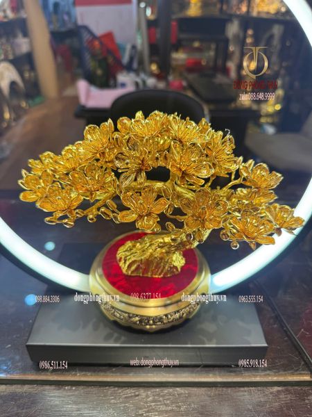 Cây mai vàng 24k