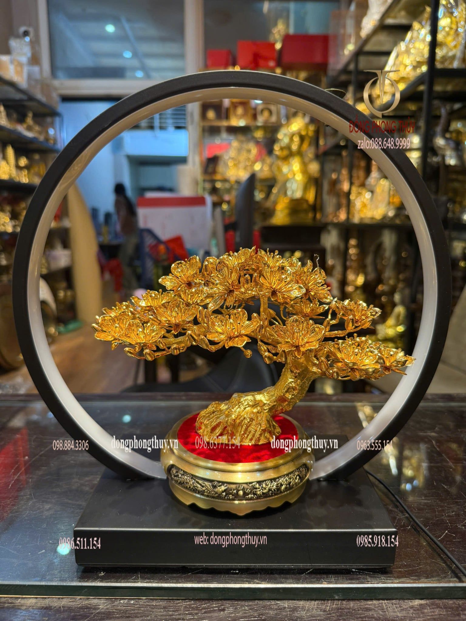Cây mai vàng 24k