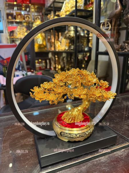 Cây mai vàng 24k