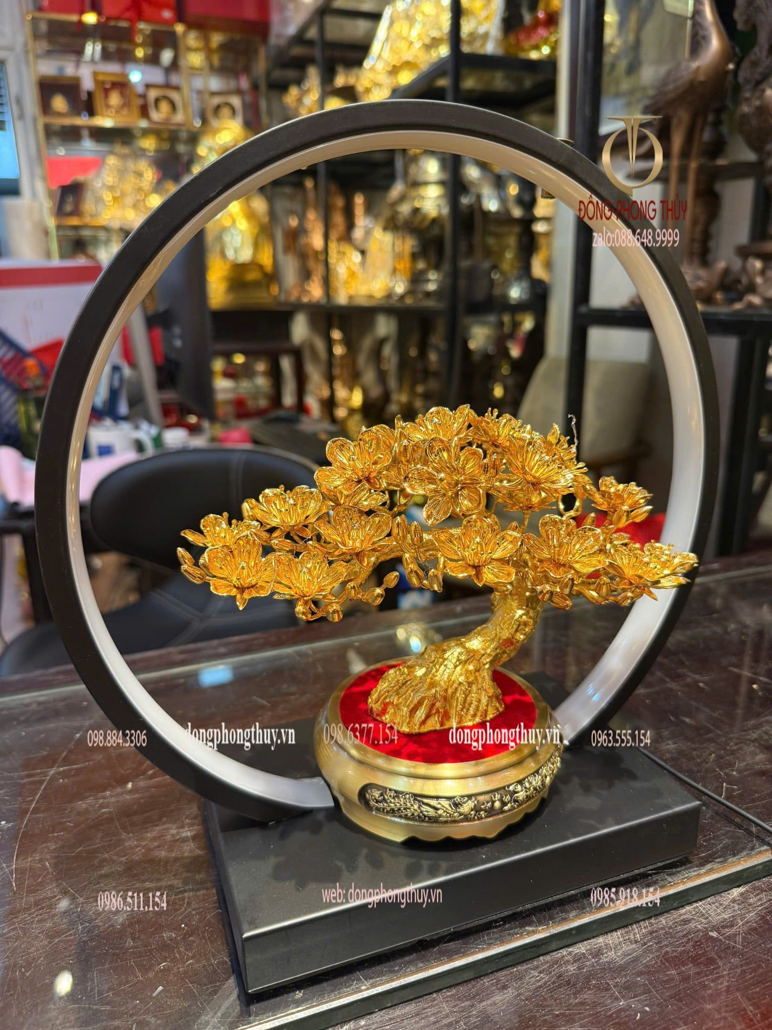 Cây mai vàng 24k