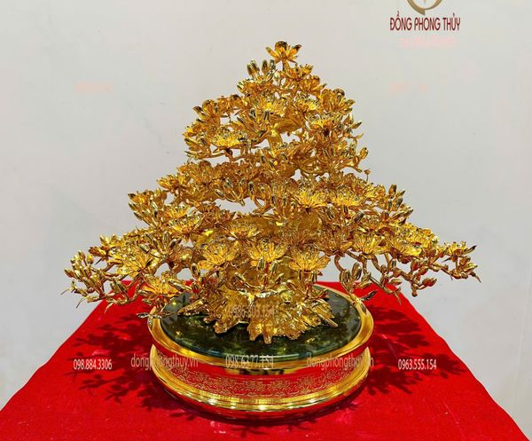 Chậu mai bonsai Cao 30cm Ngang -38cm Nặng-6kg
