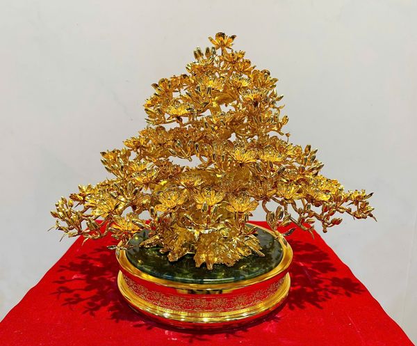Chậu mai bonsai Cao 30cm Ngang -38cm Nặng-6kg