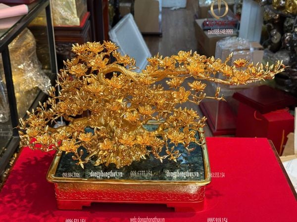 Cây mai vàng 24k