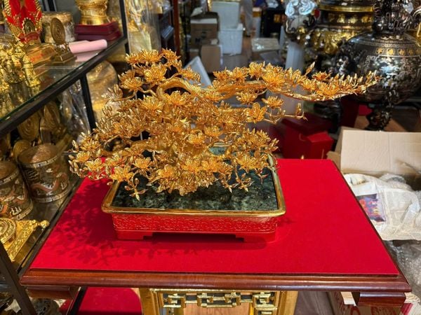 Cây mai vàng 24k