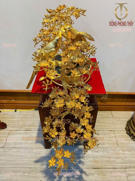 Cây mai vàng bonsai 24k