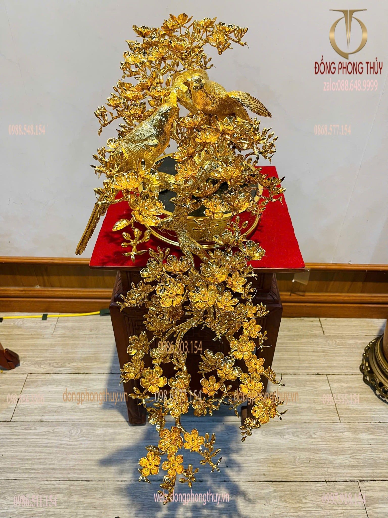 Cây mai vàng bonsai 24k