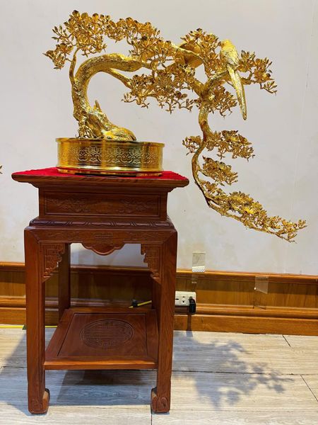 Cây mai vàng bonsai 24k