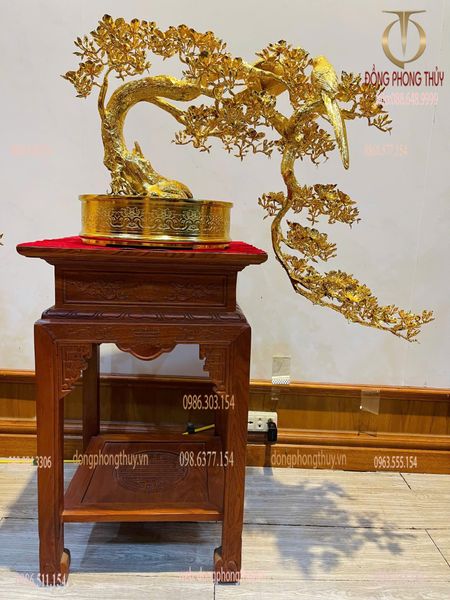 Cây mai vàng bonsai 24k