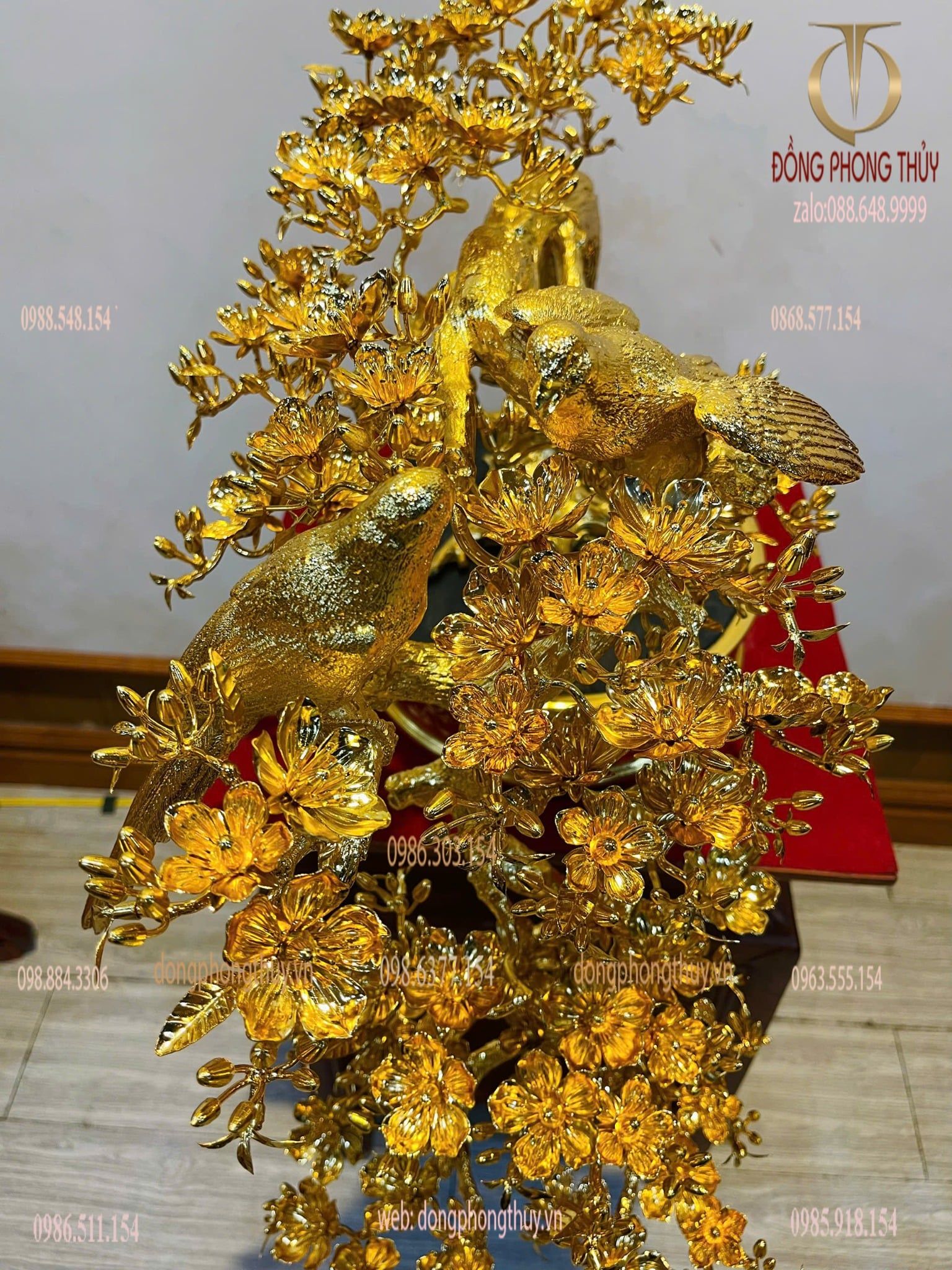 Cây mai vàng bonsai 24k