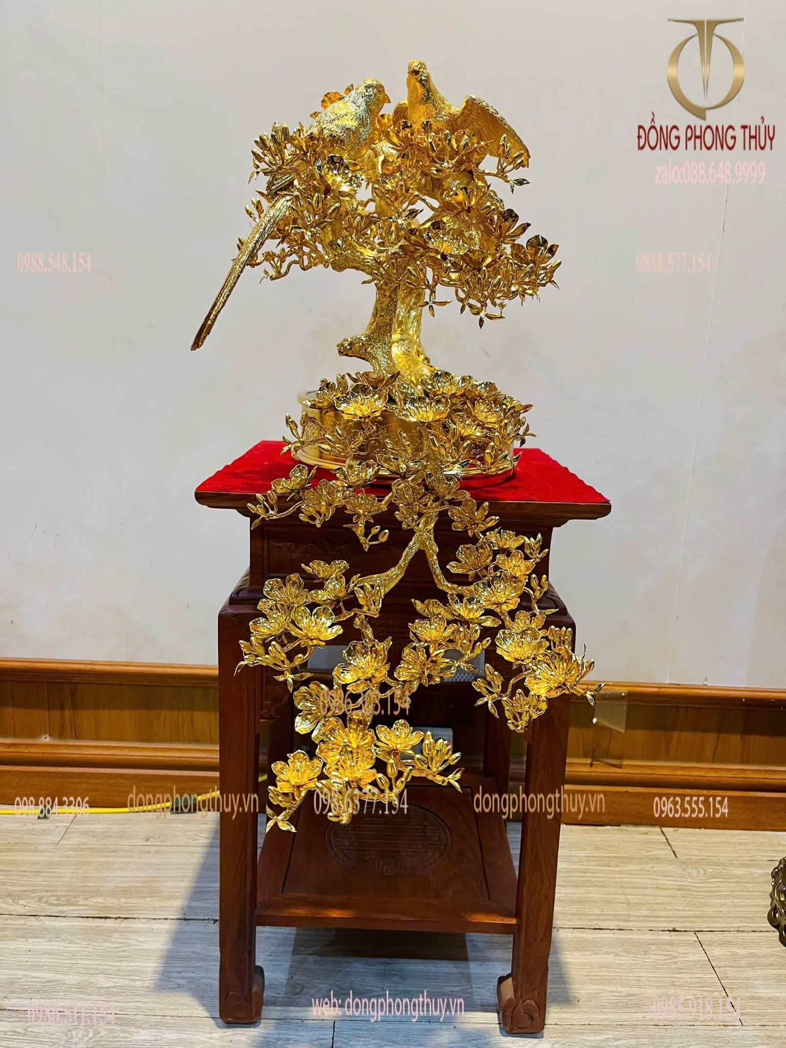 Cây mai vàng bonsai 24k
