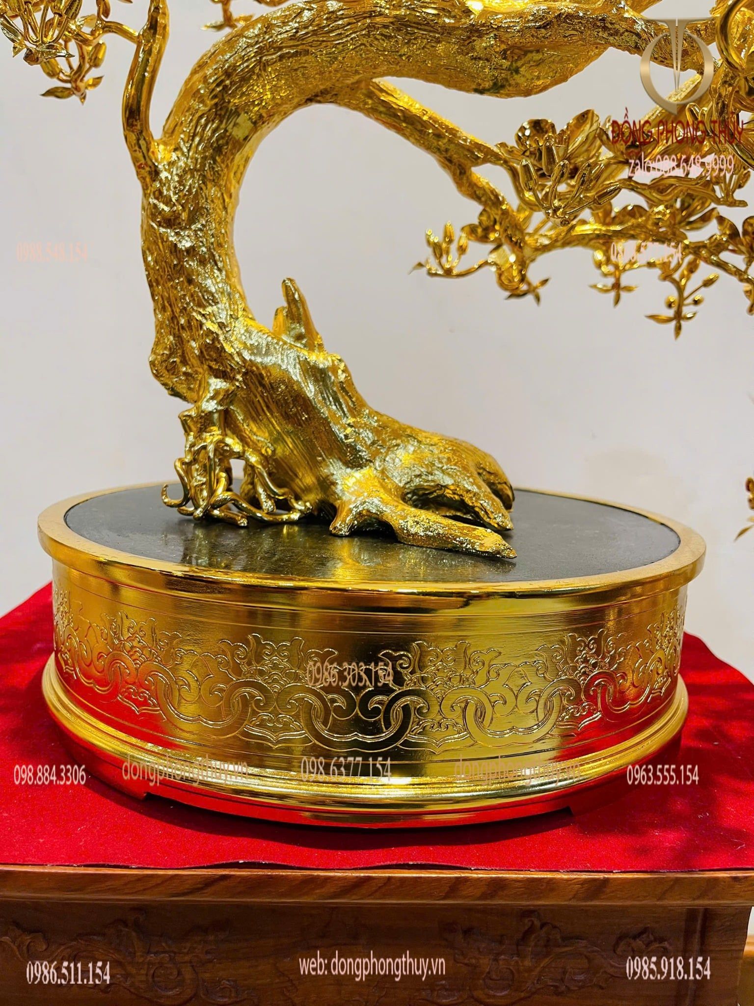 Cây mai vàng bonsai 24k