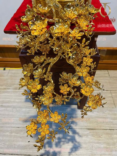 Cây mai vàng bonsai 24k