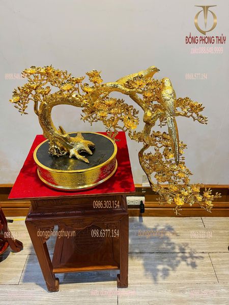 Cây mai vàng bonsai 24k