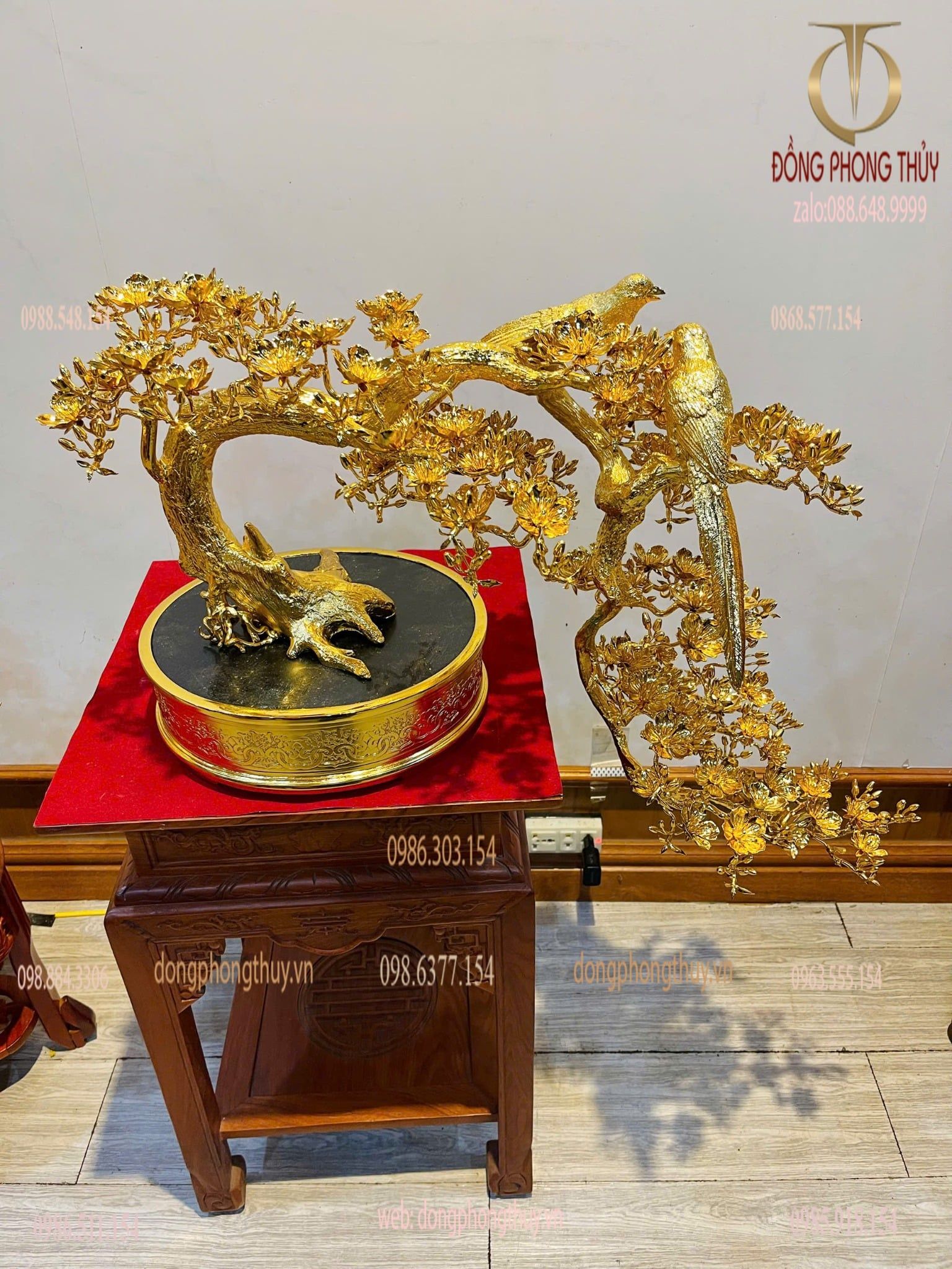 Cây mai vàng bonsai 24k