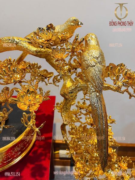 Cây mai vàng bonsai 24k