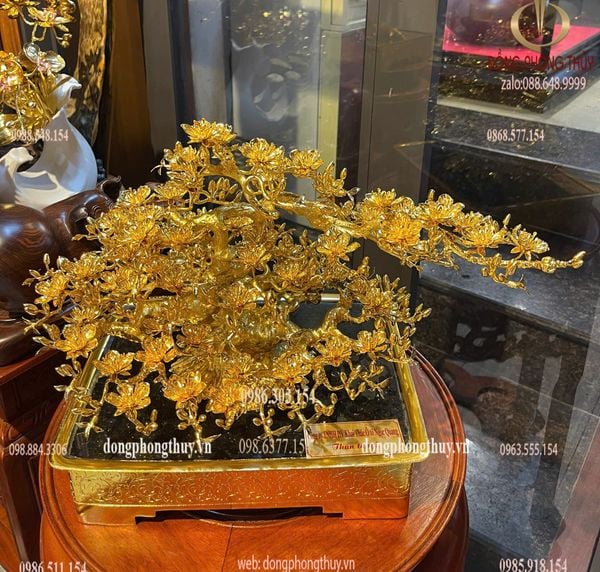 Quà tặng mạ vàng: Chậu Mai vàng 24k đế vuông bằng đồng mạ vàng