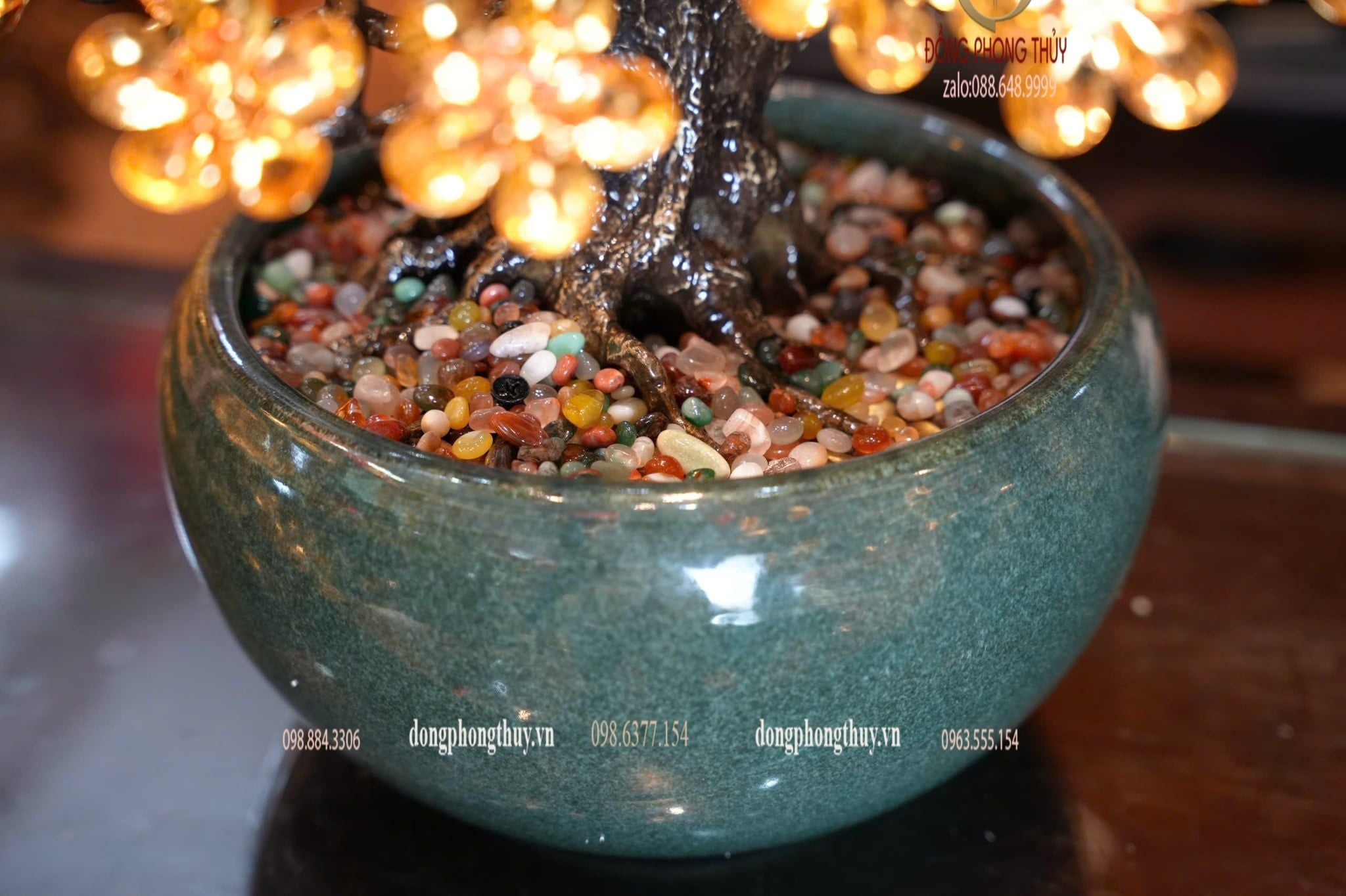Cây mai vàng 24k bonsai