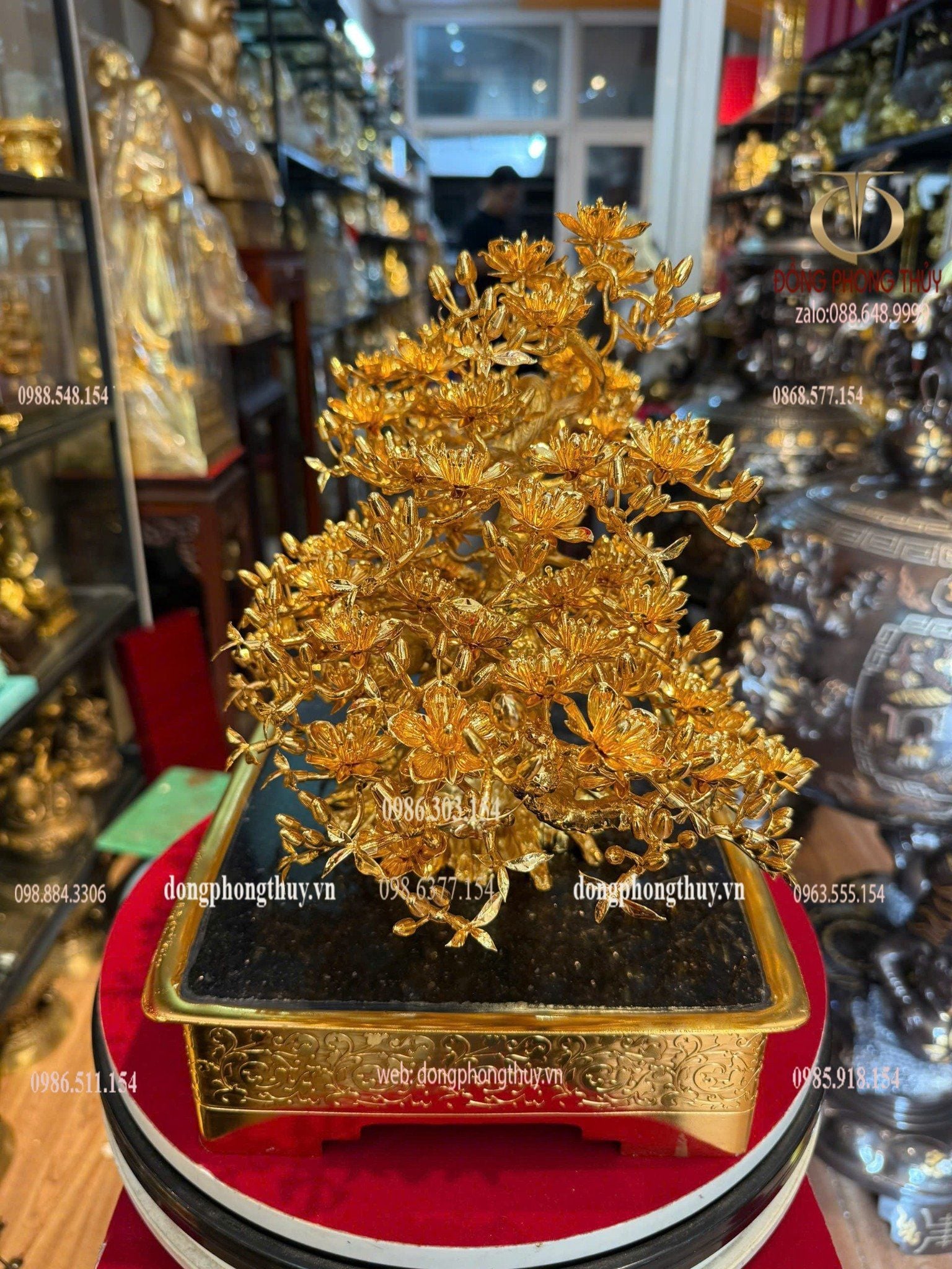 Hình ảnh sản phẩm