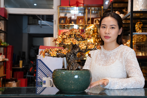 Cây mai vàng 24k bonsai