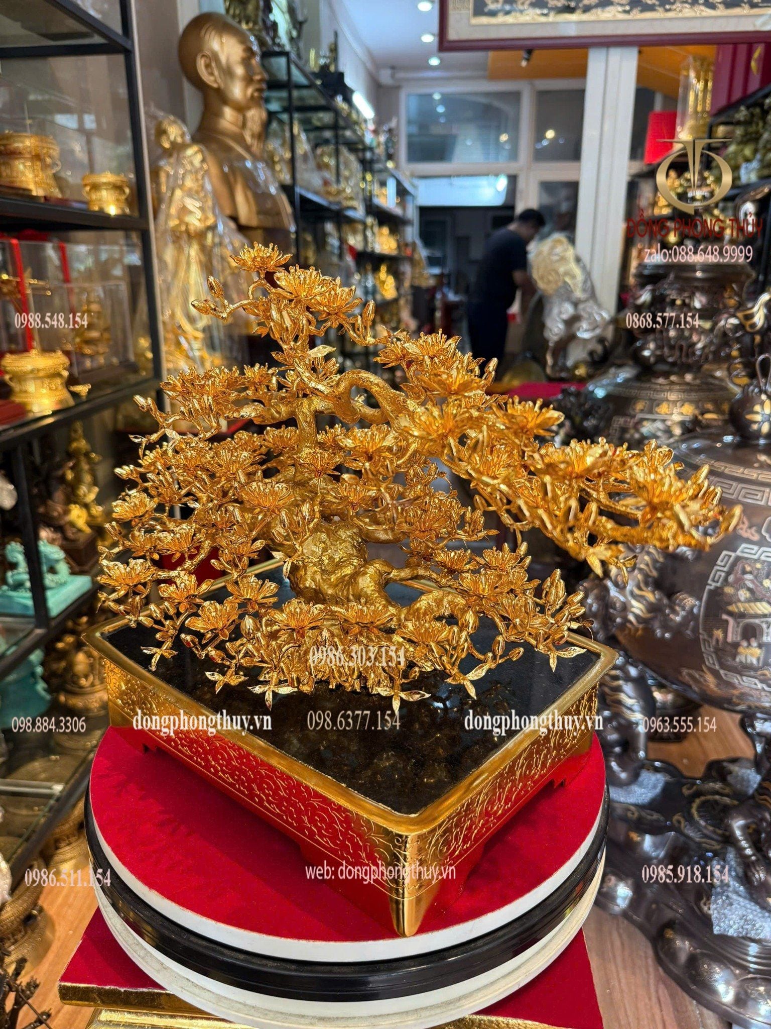 Hình ảnh sản phẩm