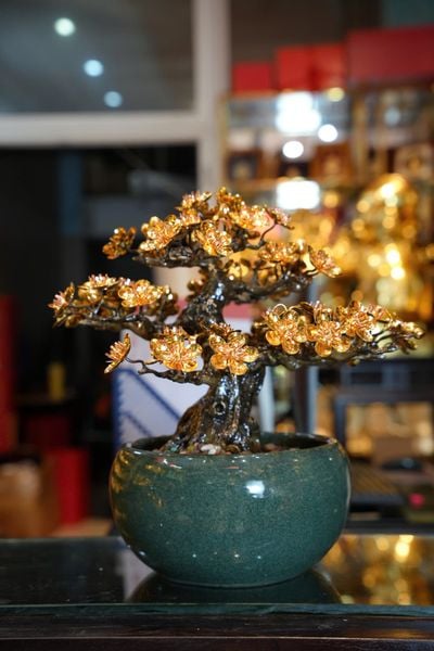 Cây mai vàng 24k bonsai